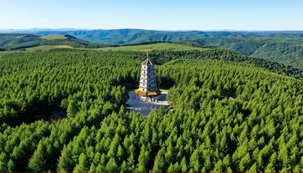 “抓生态文明建设，既要靠物质，也要靠精神”习近平总书记强调：“塞罕坝林场建设史是一部可歌可泣的艰苦奋斗史。”60多年来，三代塞罕坝林场人以坚韧不拔的斗志和永不言败的担当，坚持植树造林，建设了百万亩人工林海，铸就了“牢记使命、艰苦创业、绿色发展”的塞罕坝精神，成为中国共产党人精神谱系的重要组成部分。